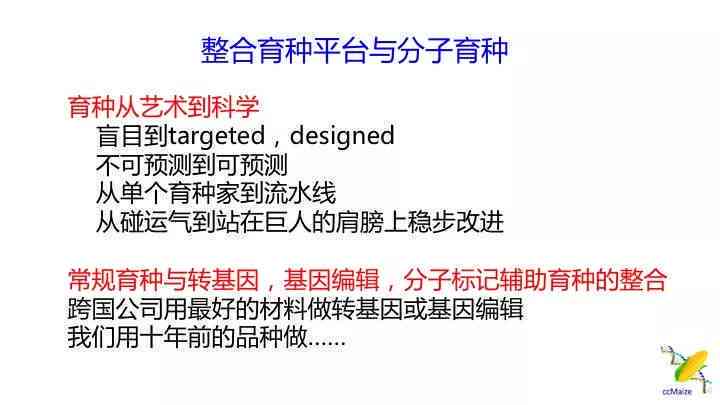 海外留学学术任务挑战解析