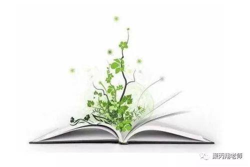 小红书千帆文案ai在哪里找：探索文案赚钱潜力与使用技巧