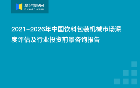 全面解析：登月项目AI技术应用深度分析与评估报告