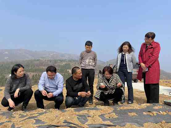 关键岗位与核心团队成员构成解析