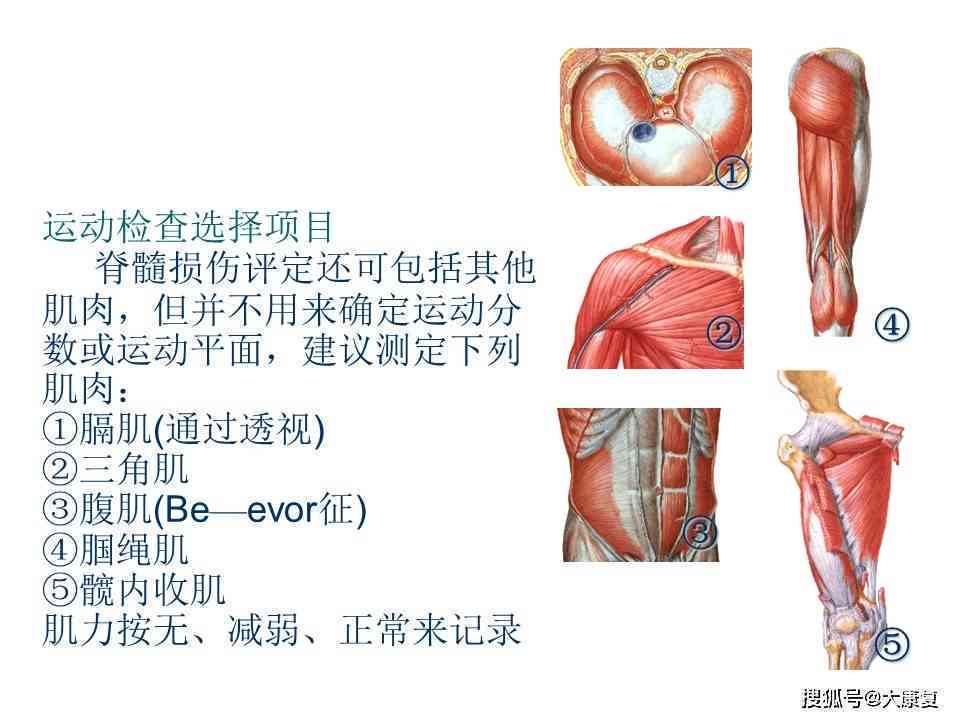 桡神经损伤患者如何评定残疾等级及评残标准解析