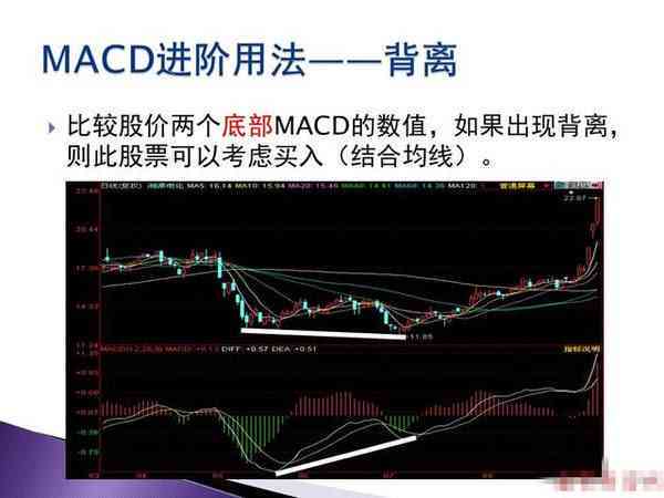 ai写作指定词语是什么意思：含义详解与用法解析