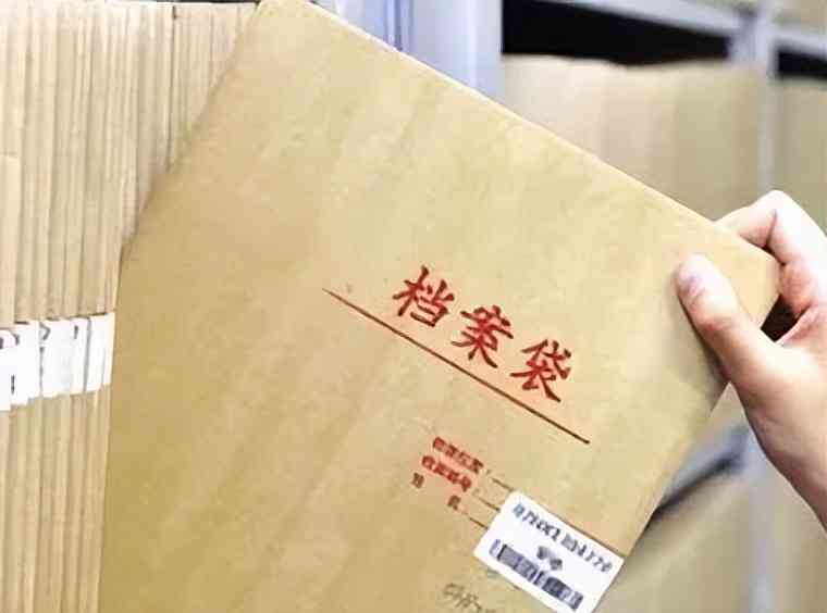 档案年龄如何界定：标准、认定依据及计算方法详解