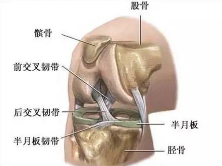棘间韧带损伤的常见节及其原因、症状与治疗全面解析