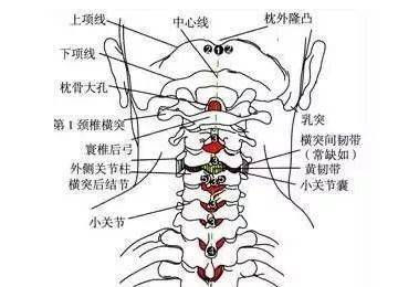 棘间韧带损伤的常见节及其原因、症状与治疗全面解析