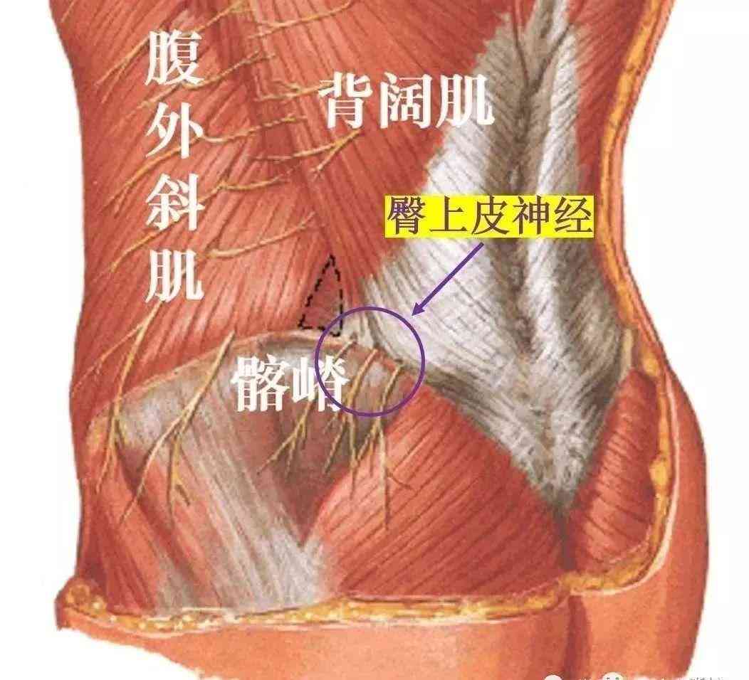 棘间韧带损伤认定工伤几级：自愈可能性、临床症状及常见脊柱节解析