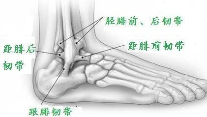 棘间韧带炎自愈时间与治疗方法：探讨多久能恢复及如何加速复