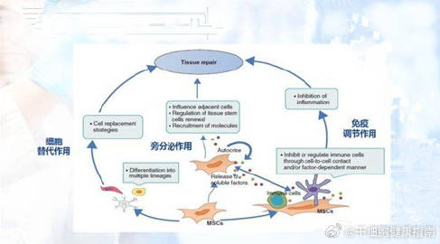 植物状态患者脑出血治疗与恢复可能性解析：专家观点与最新疗法综述
