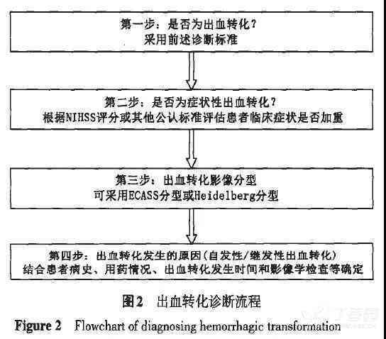 植物状态患者脑出血治疗与恢复可能性解析：专家观点与最新疗法综述
