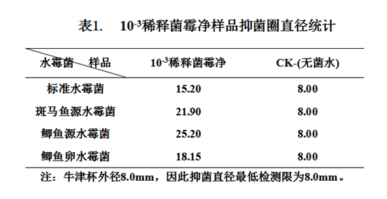 植物人工损伤后治疗周期与持续治疗要求详解