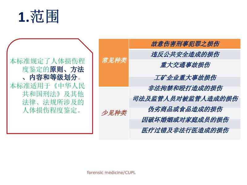 '植物状态患者伤残等级鉴定与法律判定标准探讨'
