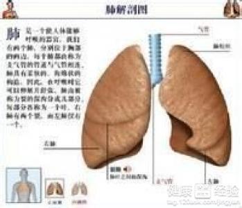 椎崩裂会自愈吗 女性能自行痊愈或恢复吗