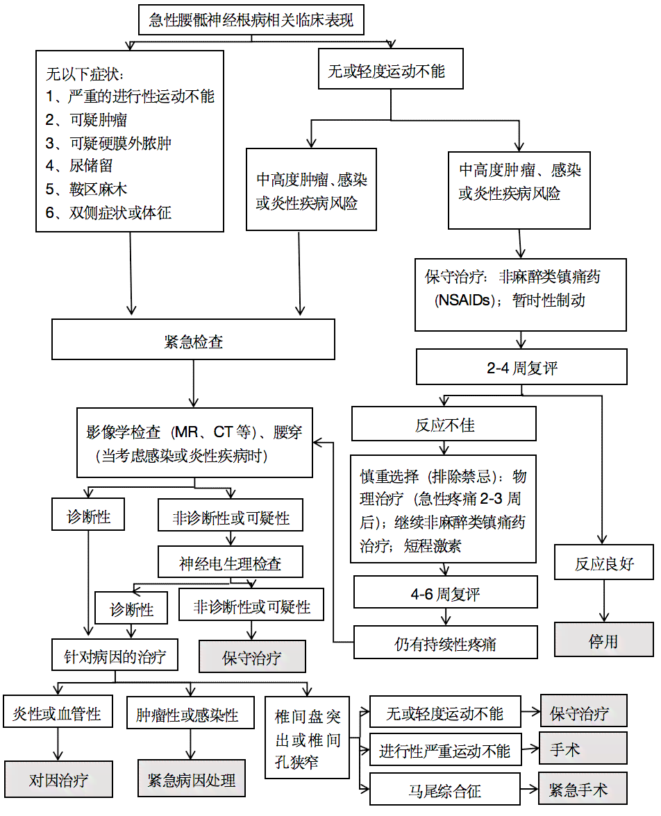 全面指南：椎间盘突出工伤伤残认定的流程、条件与关键证据准备
