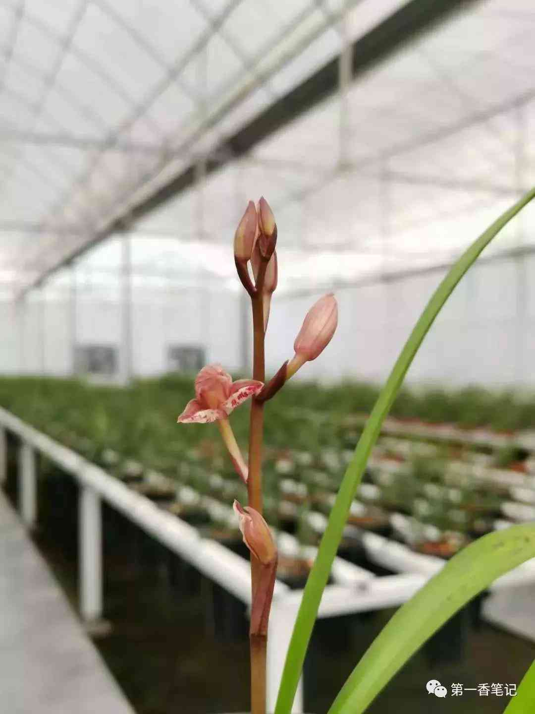 楼顶积水导致的工伤赔偿认定及索赔指南