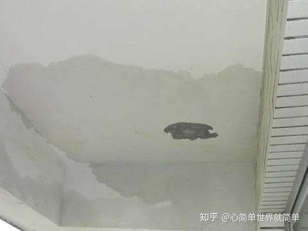 屋顶泡水修复攻略：楼顶渗水整治方案详解