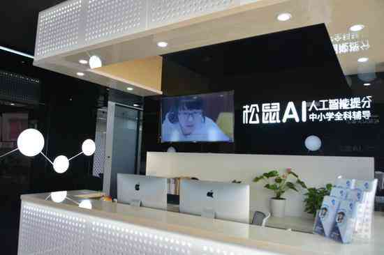 松鼠ai文案案例大全及答案解析与汇总
