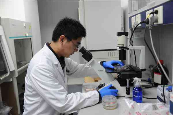 全面指南：AI制药行业研究报告撰写范例与关键要素解析