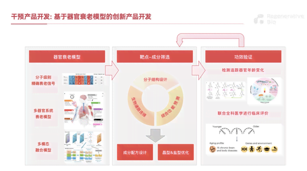 智能AI驱动制药革新：迈向高效精准的研发技术