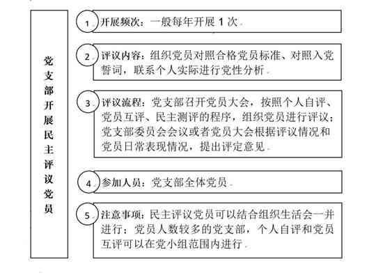如何界定主要责任与次要责任：责任分配比例与法律责任解析