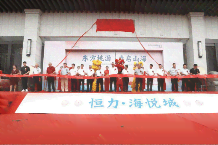 创新招商攻略：打造独具匠心的招商文案新篇章