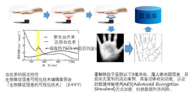 AI实验报告撰写指南：全面解决方案及实用模板