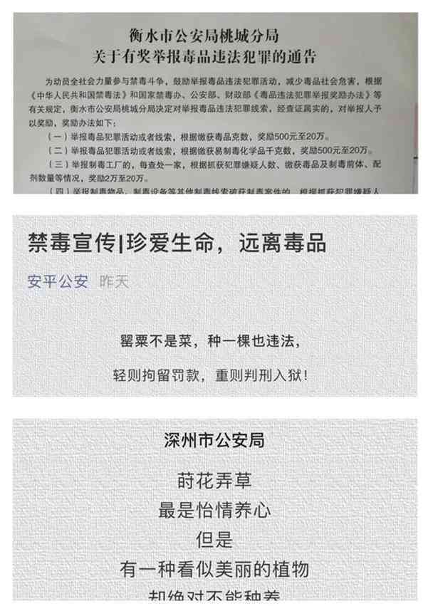 河北省水市武邑县公证处详细地址及导航信息指南