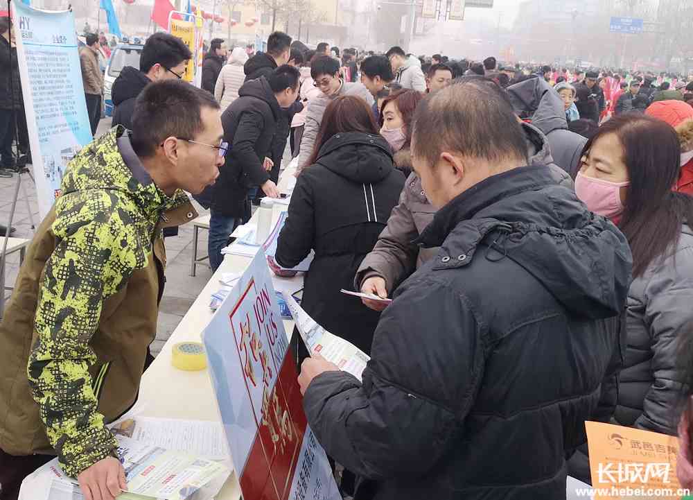 武邑职场风采：聚人才发展与就业机会