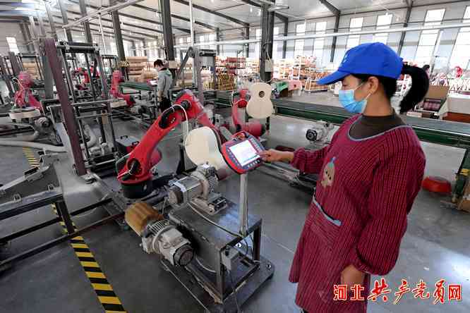 武邑县工业崛起：打造区域经济新引擎
