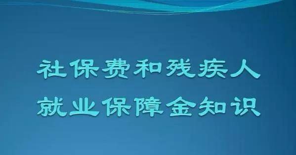 职场融合：残疾人如何实现正常就业与职业发展