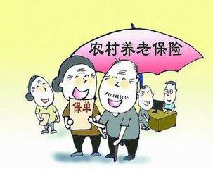 残疾人员档案：查询方法与档案内容详解及系统介绍