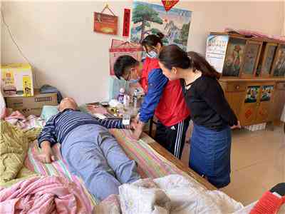 残疾人员档案：查询方法与档案内容详解及系统介绍