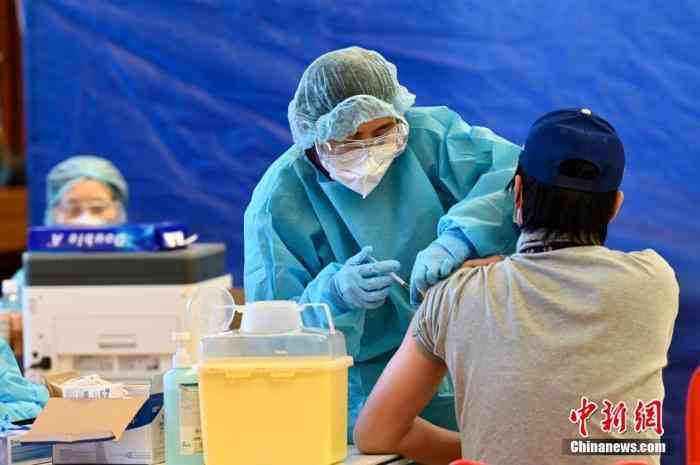 残疾人员档案：查询方法与档案内容详解及系统介绍