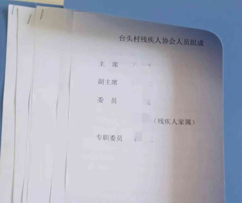 残疾人档案资料详览：全面解读残疾人员信息收录内容