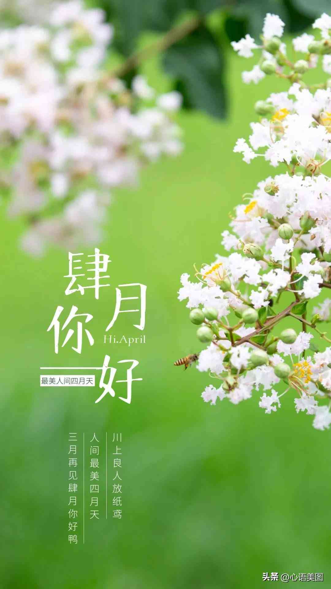 '智能AI驱动海报文案创意设计与优化'