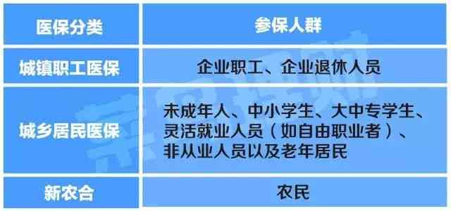 每日优配送员有五险一金吗：待遇及工资详情解析