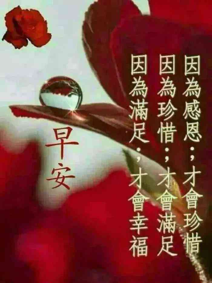 AI智能：一键生成动画的文案创作工具