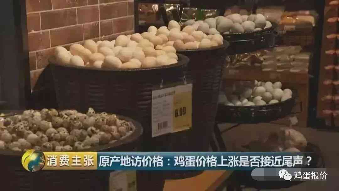 丰收时刻！养鸡场新鸡蛋上线，快来朋友圈见证蛋品之美