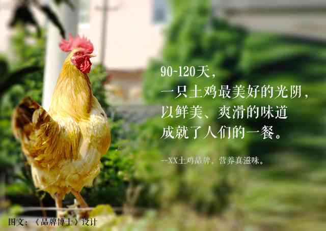 养鸡文案怎么写吸引人简短好看，有效吸引顾客的撰写技巧