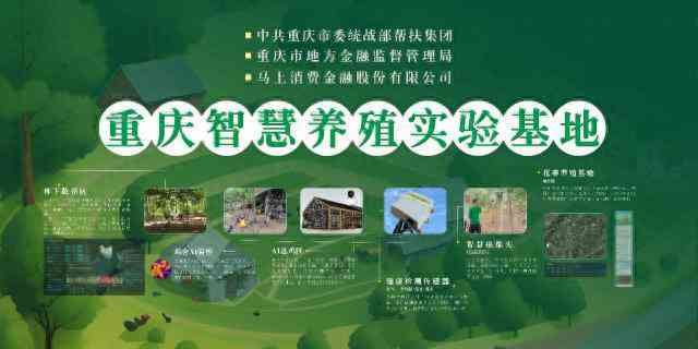 养鸡场文案ai