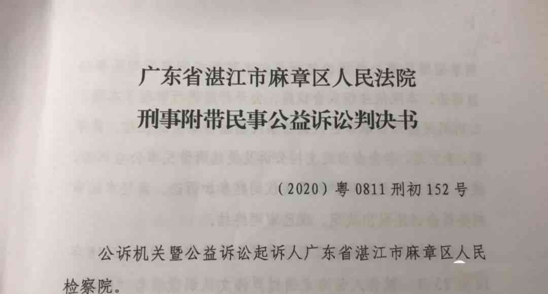 探究民事诉讼中能否启动公诉程序：民事案件公诉的可能性分析