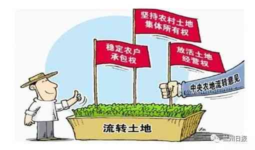 农民工工伤     指南：如何有效反映与解决工伤问题及法律途径解析