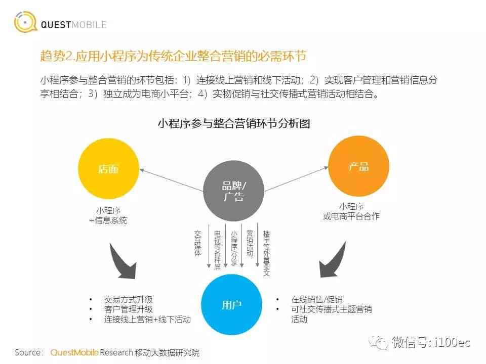 深度洞察：专项问题分析报告