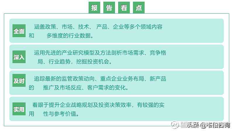 深度洞察：专项问题分析报告