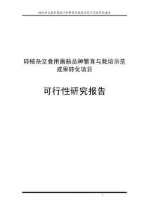 全方位指南：如何撰写完整项目可行性研究报告及其实策略