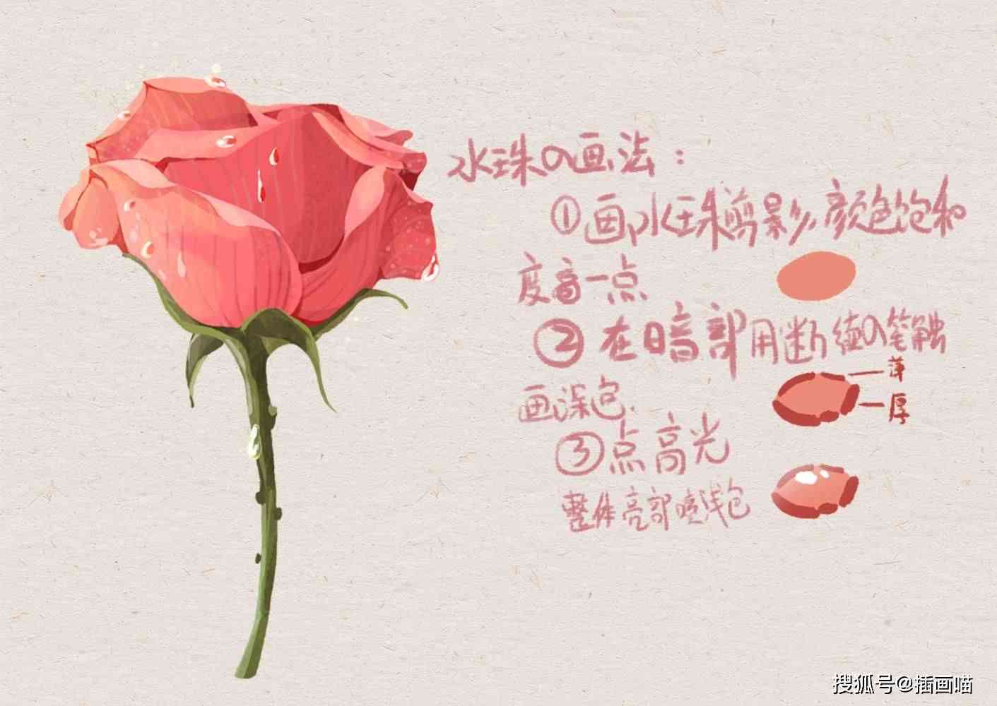 详解绘制玫瑰花的步骤与技巧：全面解答玫瑰花绘画常见问题及创意灵感