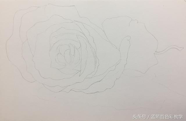 详解绘制玫瑰花的步骤与技巧：全面解答玫瑰花绘画常见问题及创意灵感