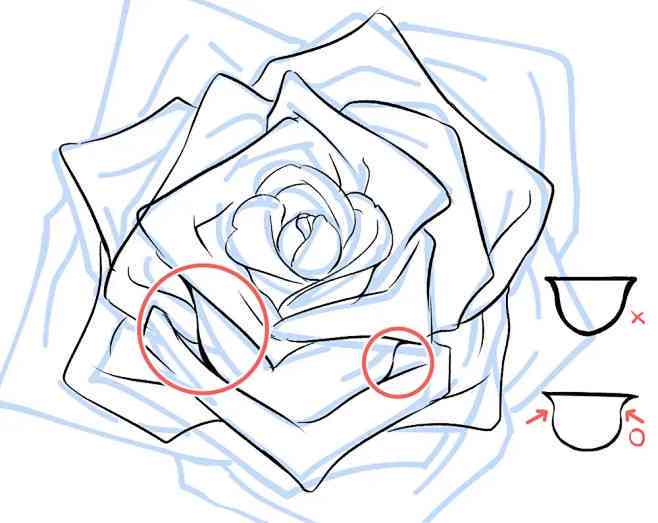 详解绘制玫瑰花的步骤与技巧：全面解答玫瑰花绘画常见问题及创意灵感