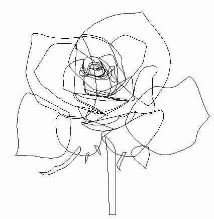 AI画玫瑰花：绘制方法与渐变花瓣插画技巧