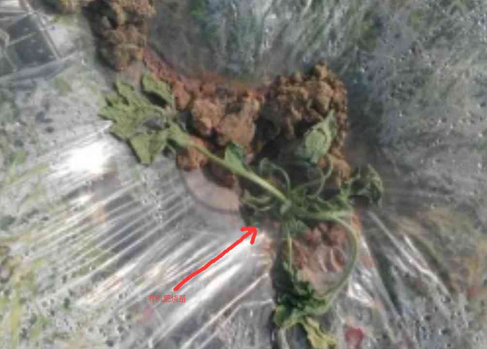 氨气泄露事故伤亡赔偿指南：中受害者权益保障与补偿标准解读