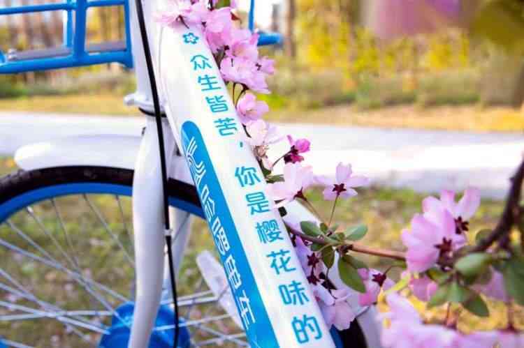 智能化海店AI语音播报文案创作素材集锦